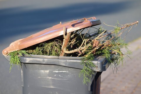 Veja Qual a importância da reciclagem